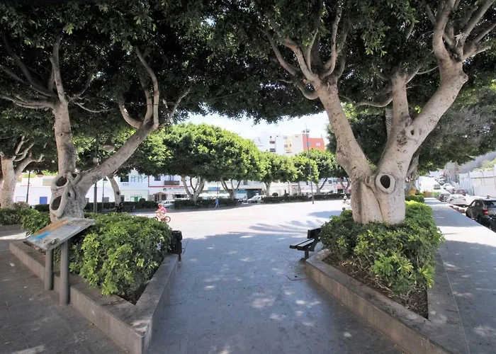 Plaza * Алькала