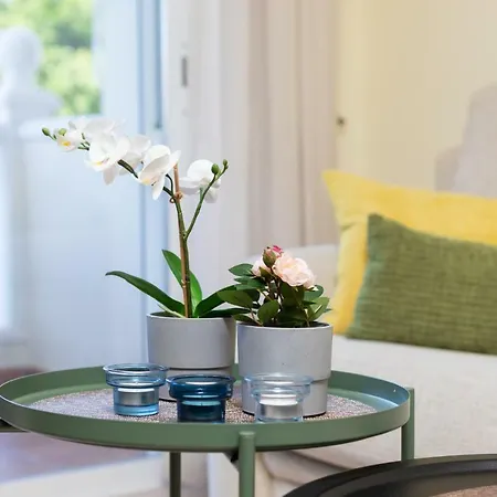 Plaza Apartment Alcala (Tenerife)